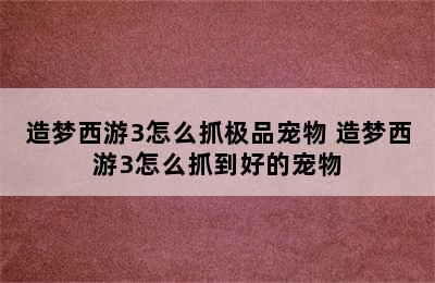 造梦西游3怎么抓极品宠物 造梦西游3怎么抓到好的宠物